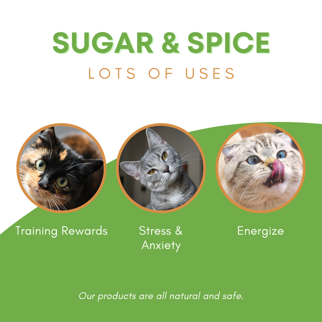 Sugar & Spice Catnip — 1 oz Bag 🐾💙