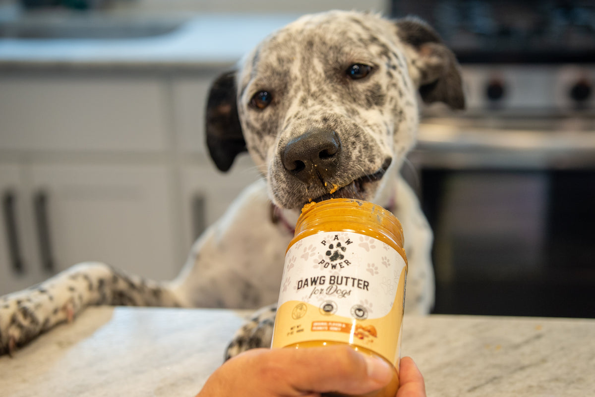 Dawg Butter Original Flavor — Award-Winning Peanut Butter Dog Treat 🐾💙