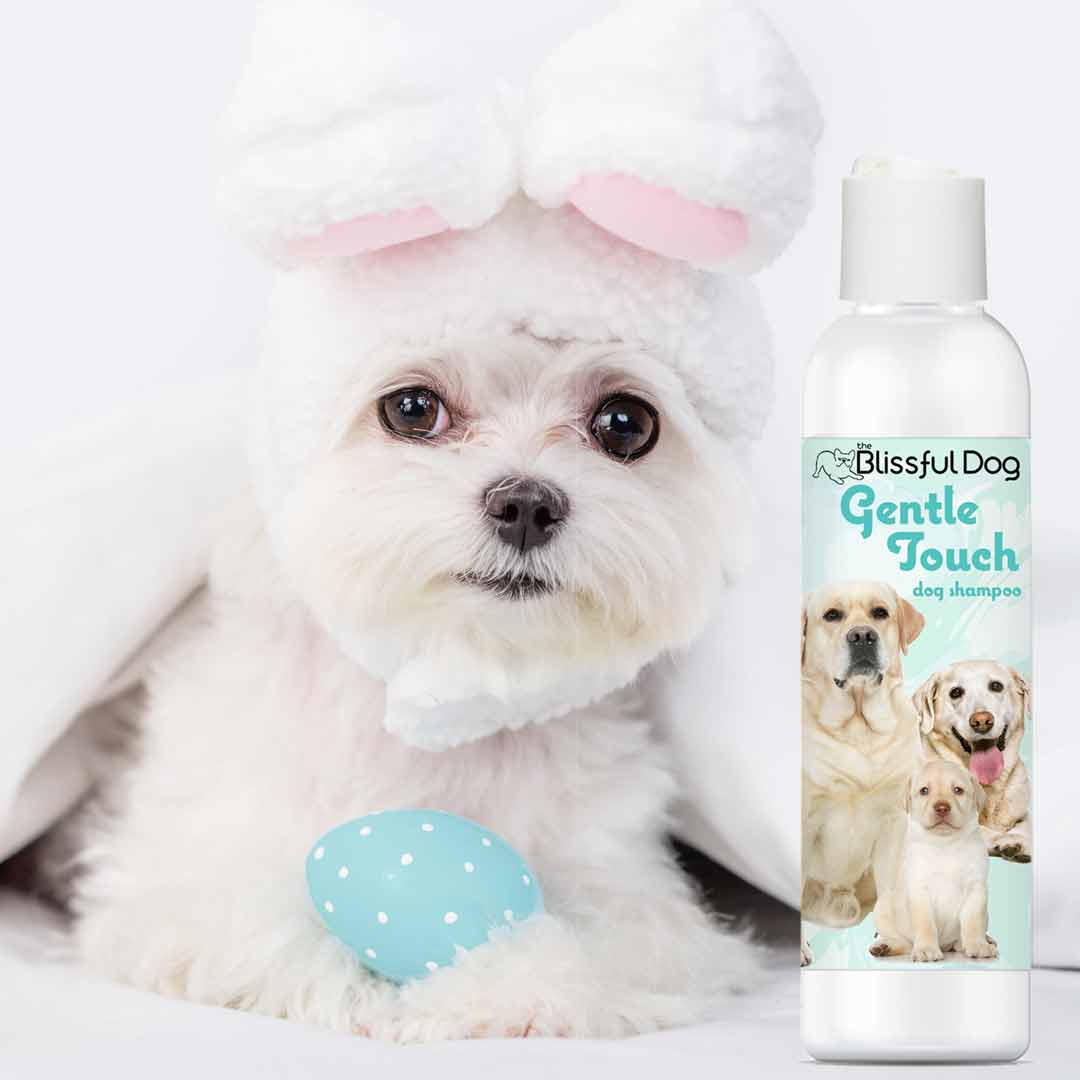Gentle Touch Dog Shampoo & Soap — For Puppies, Seniors & Sensitive Skin 🐾💙