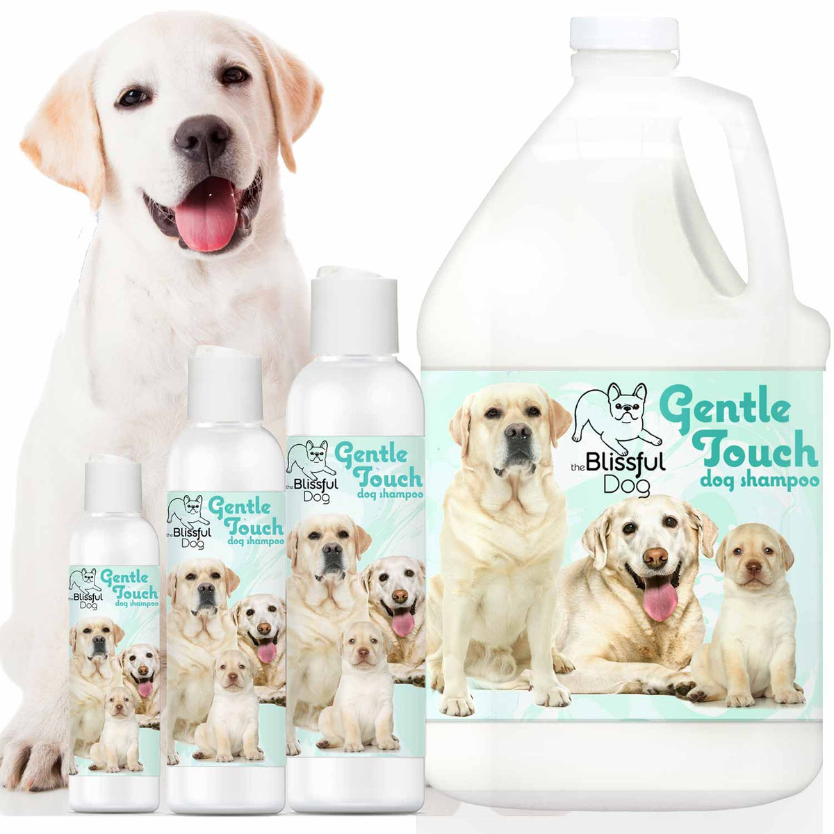 Gentle Touch Dog Shampoo & Soap — For Puppies, Seniors & Sensitive Skin 🐾💙