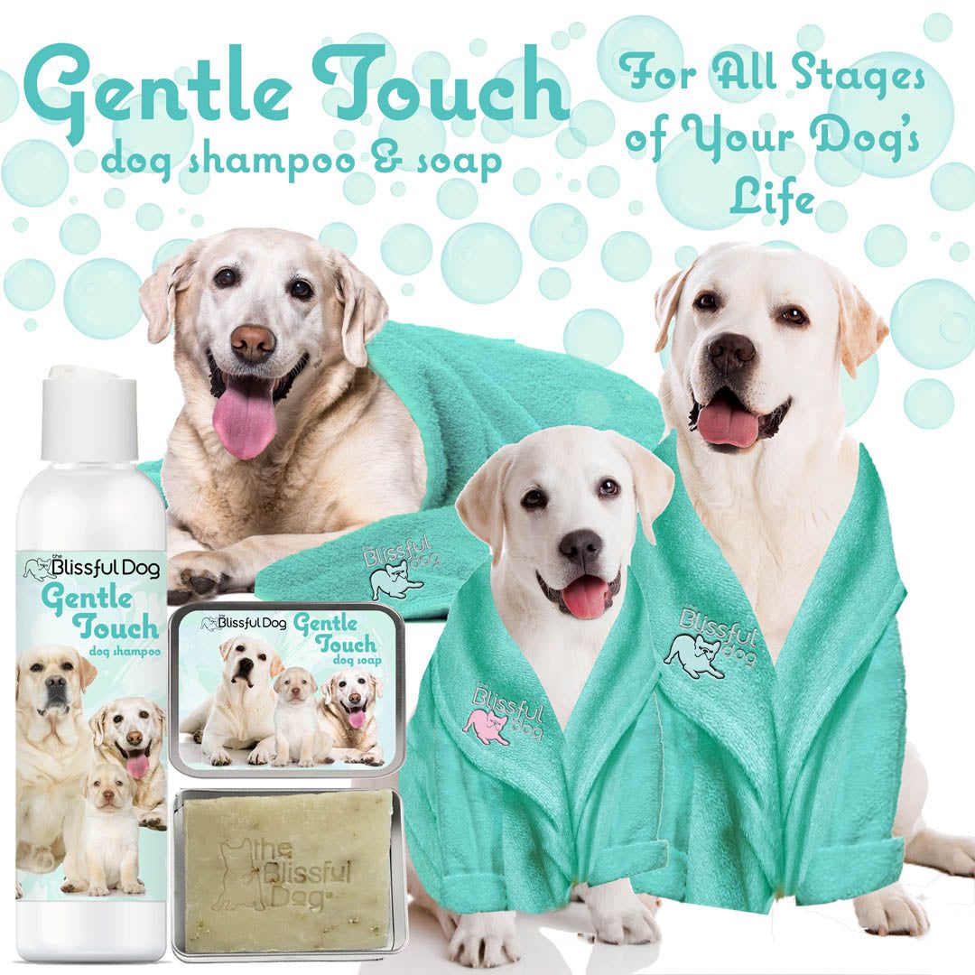Gentle Touch Dog Shampoo & Soap — For Puppies, Seniors & Sensitive Skin 🐾💙