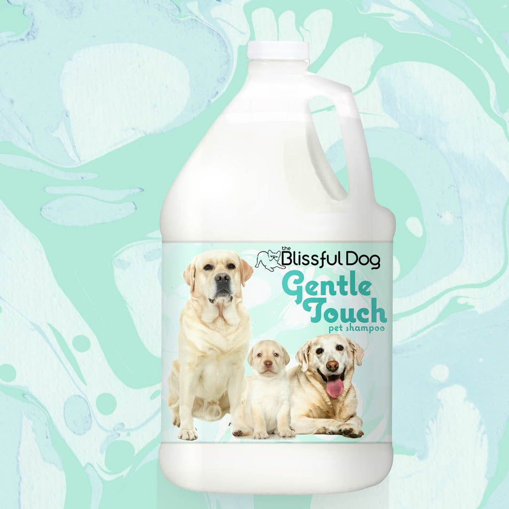 Gentle Touch Dog Shampoo & Soap — For Puppies, Seniors & Sensitive Skin 🐾💙