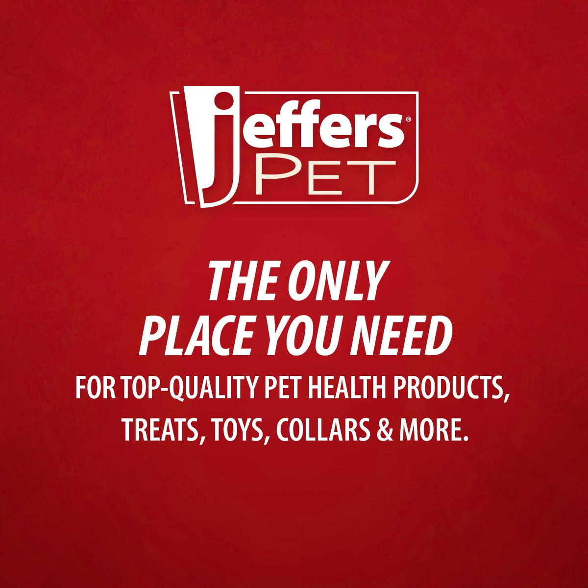 Jeffers Pet Tearless All-Natural Coconut Oil Shampoo for Dogs & Cats 🐾💙
