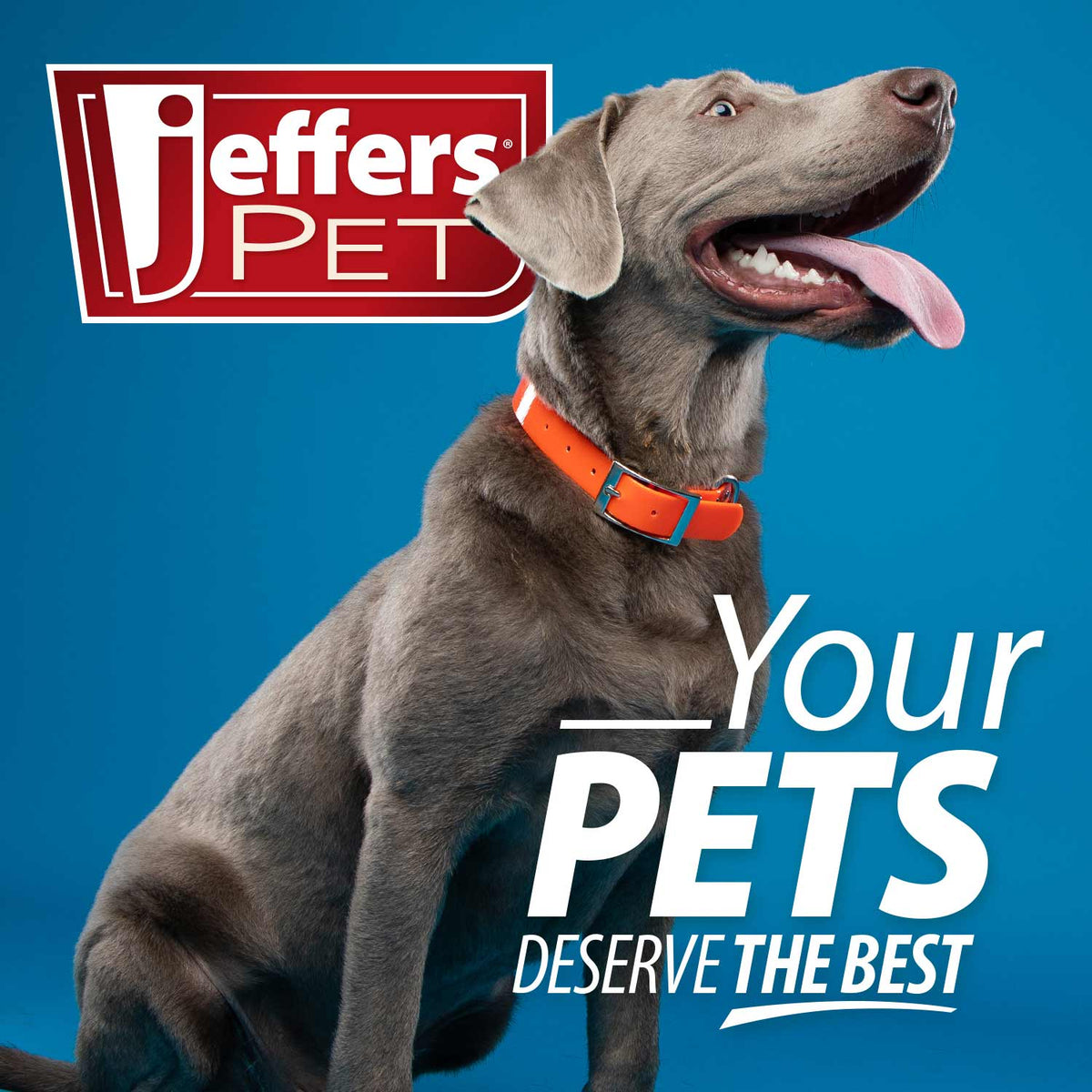 Jeffers Thinnies Unstuffed Plush Dog Toys — 21" 🐾💙